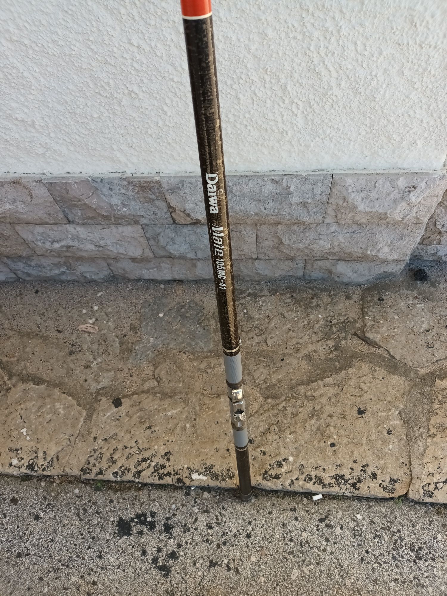 Cana de pesca Daiwa 4,10 m