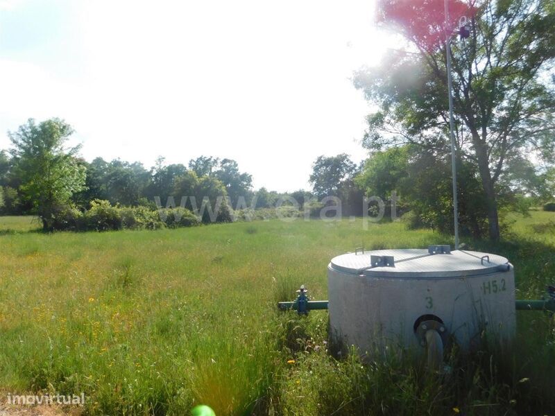 Terreno / Fundão, Donas