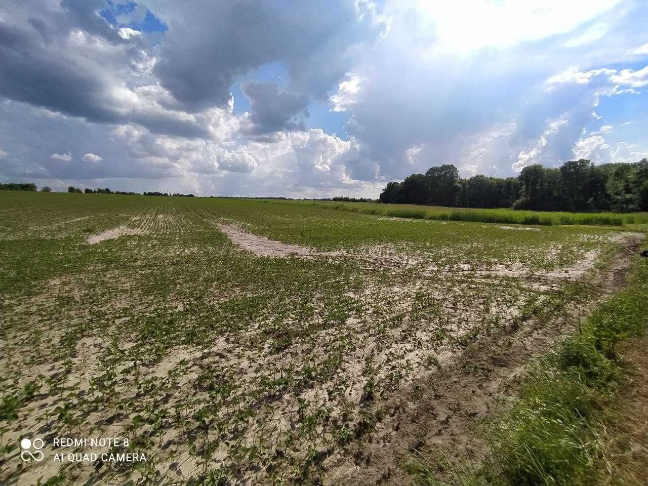 Будинок с. Івки Богуславський р-н