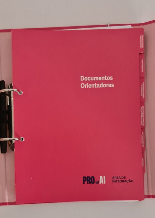 PRO AI. Dossiers novos. Área de Integração.