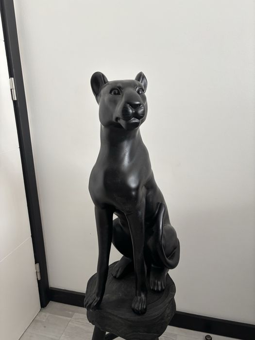 Pantera em Estado Novo Homa