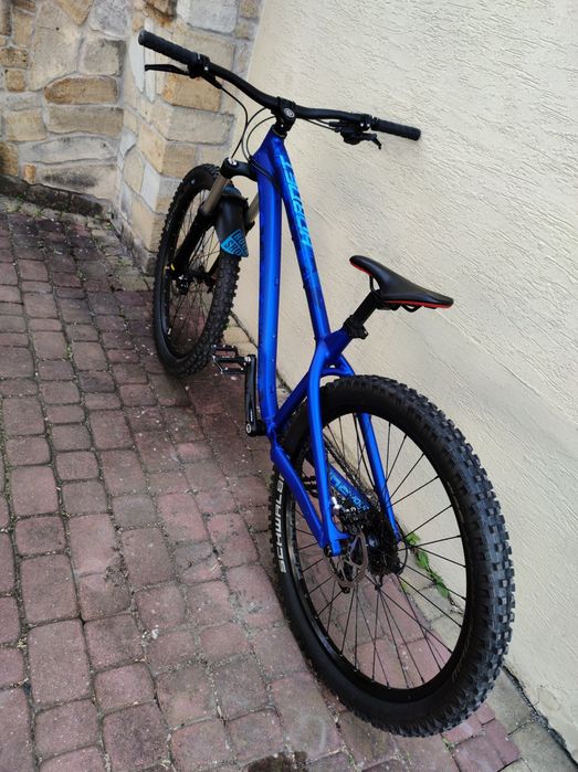 Dartmoor Hornet 2022