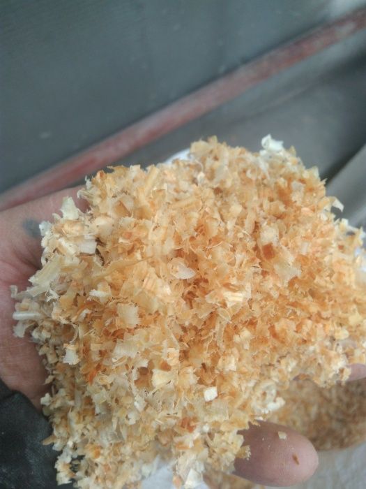 продаю стружку сосна