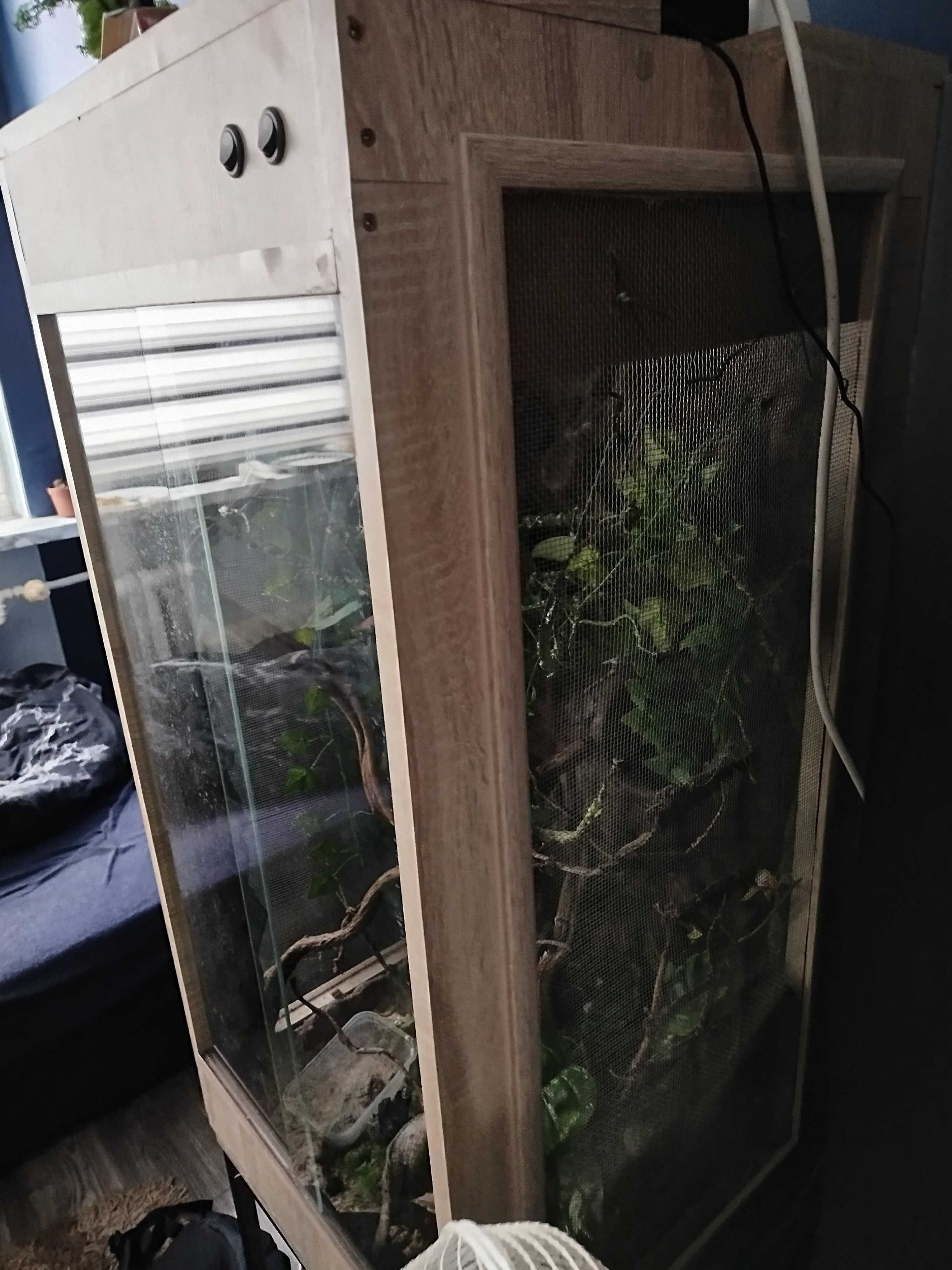Terrarium  100x50 dla kameleona wyposażenie