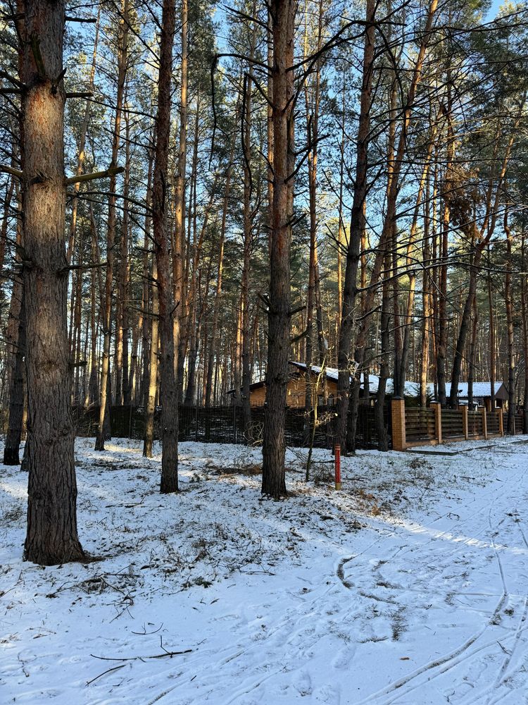 Песчанка дом А-Frame 77 м2 участок 10 сотк в соснах.