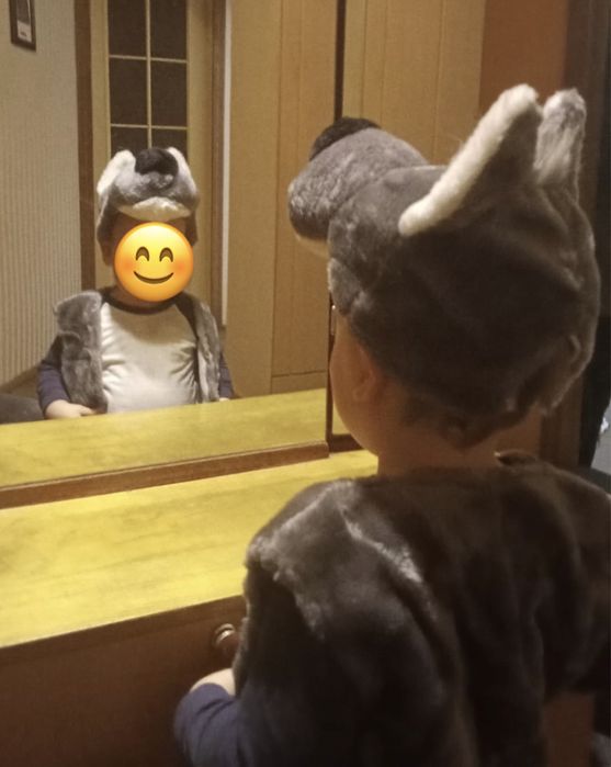 250 грн. Костюм зайчика, вовка на 2-3-4 р, оренда