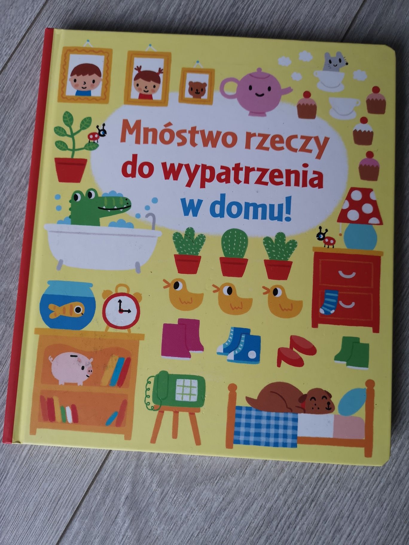 Mnóstwo rzeczy do wypatrzenia w domu - książka