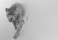 Fototapeta Jaguar Zwierzęta Dzikość Na Ścianę 3D Twój Rozmiar + KLEJ