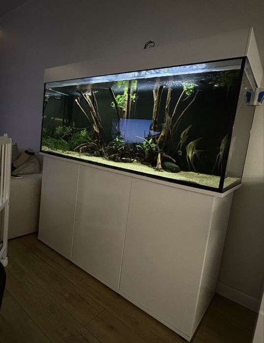Akwarium 450l z szafką/ zalane do 31.10.2025