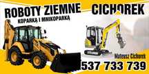 KoparkoŁadowarka Koparka od 2 do 24 ton KucieMłotem WywózGruzu