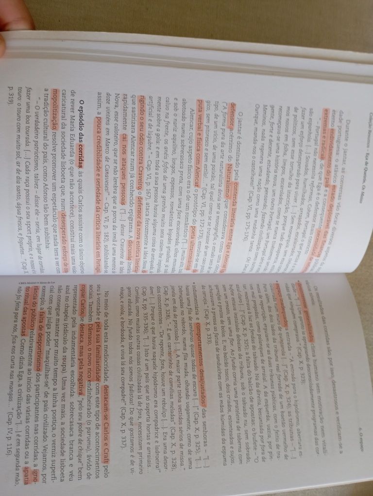 Livro de resumos - Os Maias