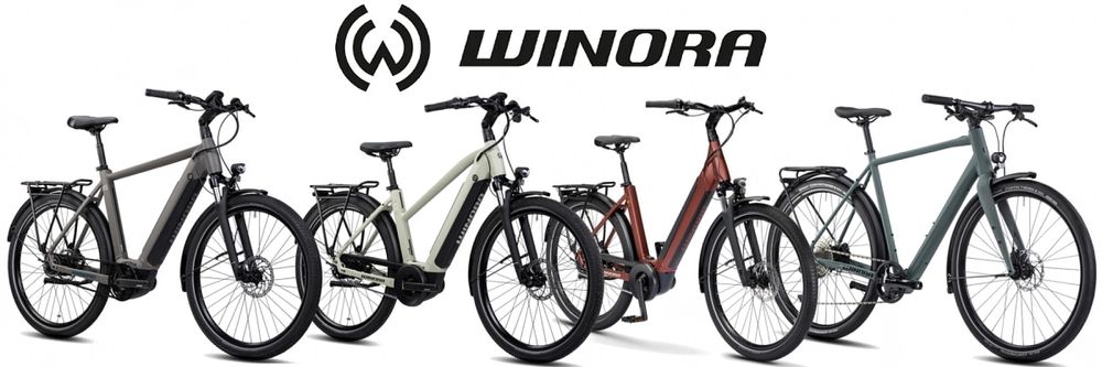 Rower elektryczny Winora Sinus N8 rama 56 cm aluminium zielony 250 W