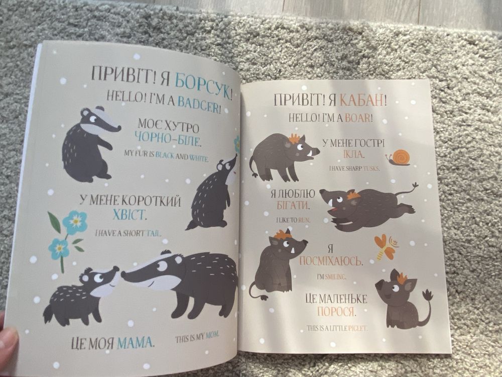 Книжки дитячі англійською з перекладом