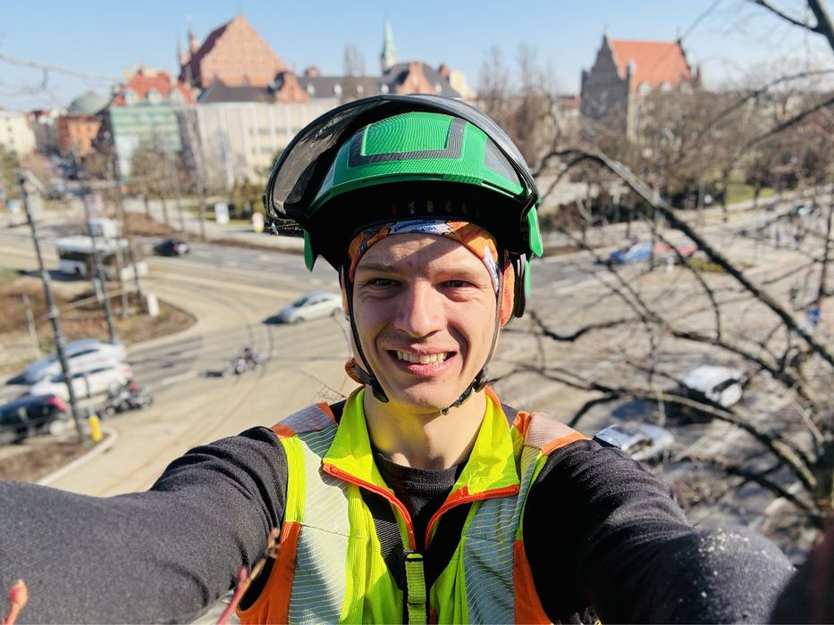 < WYCINKA i PIELĘGNACJA DRZEW- Alpinistycznie, Darmowa wycena! Jakość!