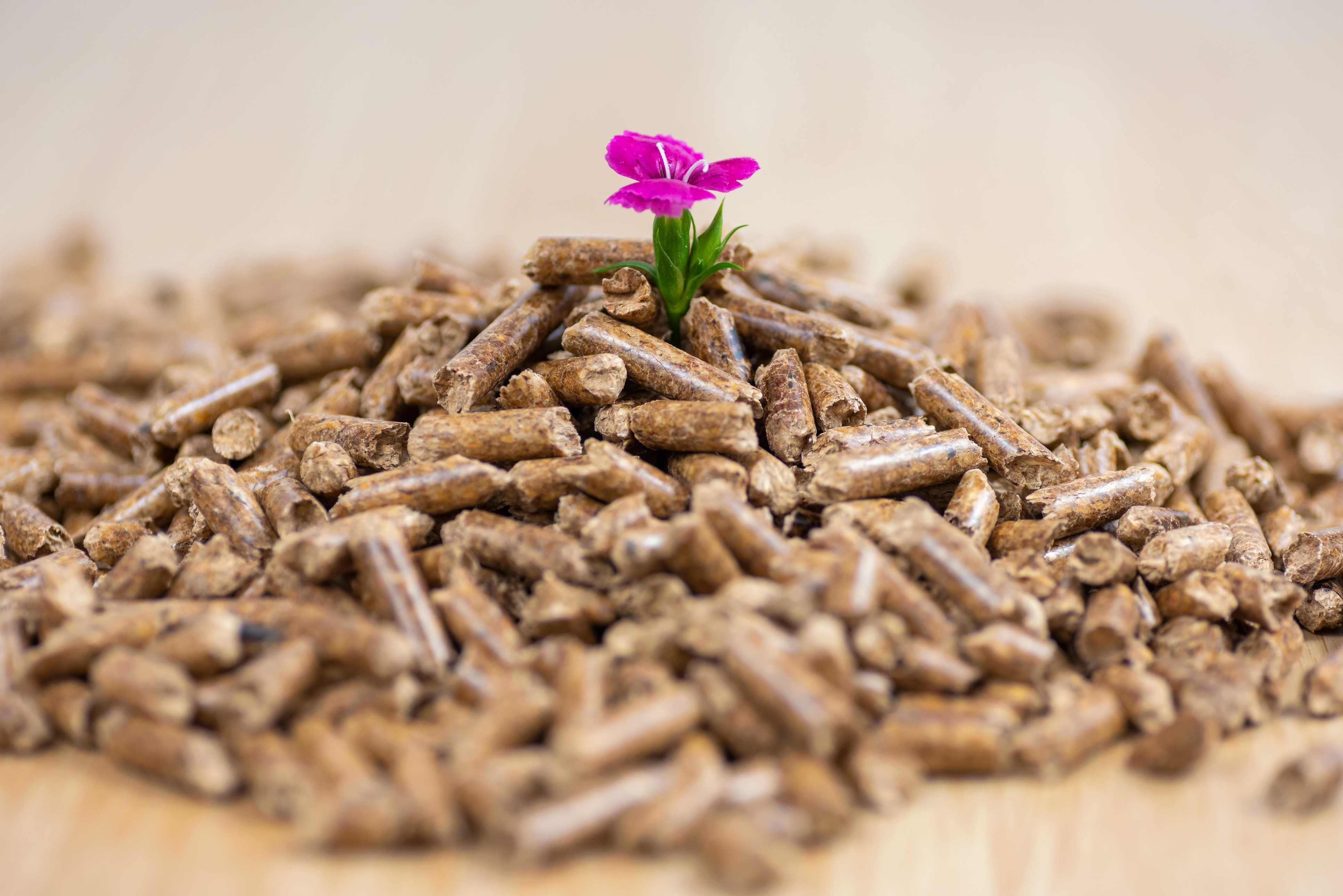 Pellet drzewny certyfikowany A1, DINplus, EN+