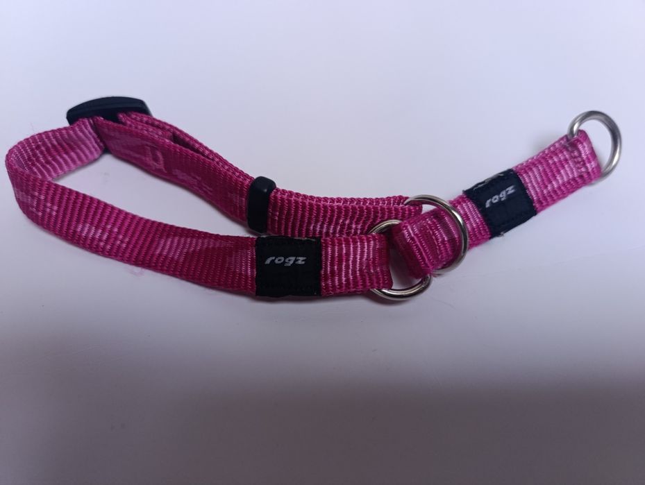 Obroża rogz zaciskowa S dla małego psa