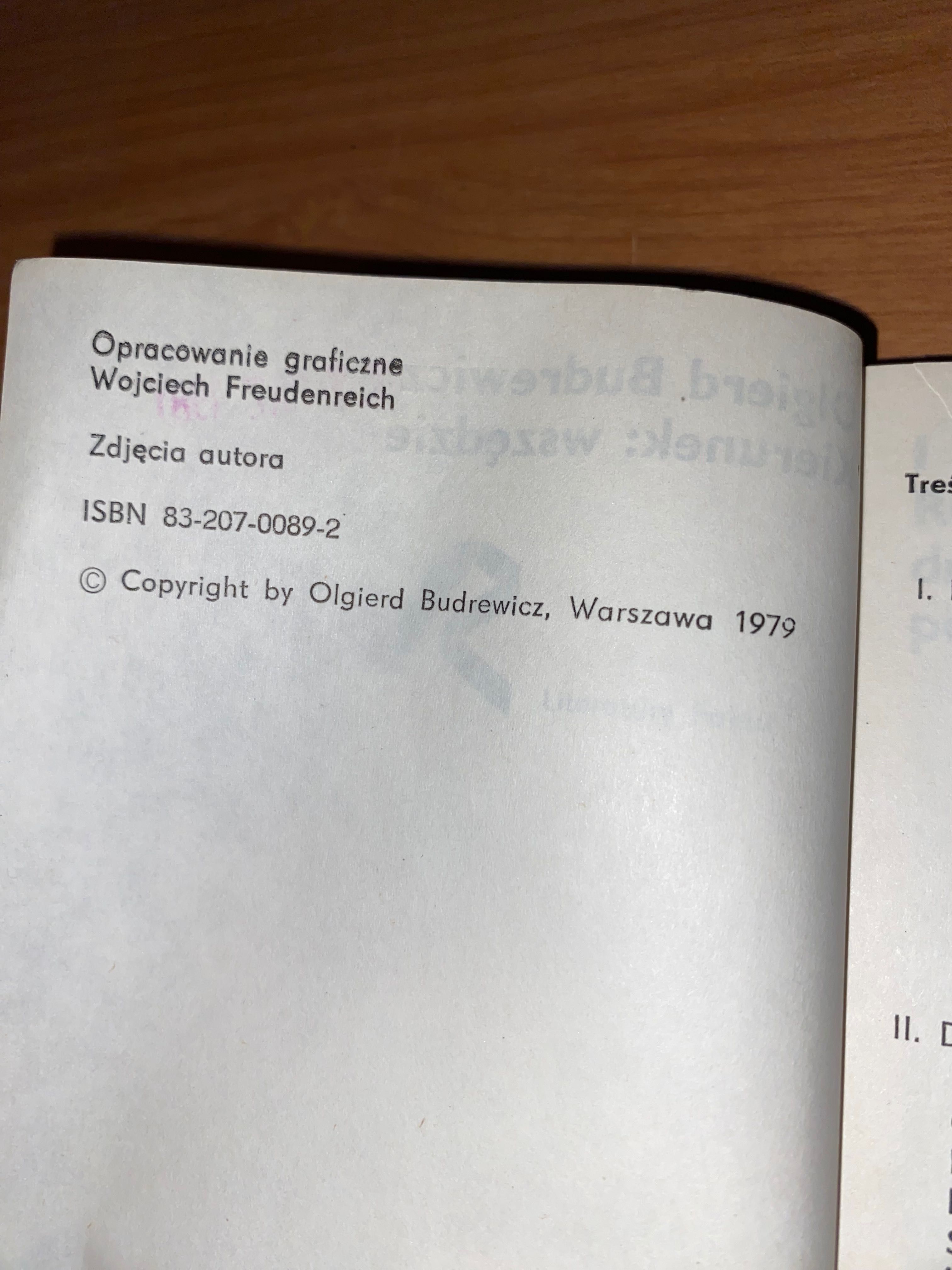 Olgierd Budrewicz - Kierunek: wszędzie