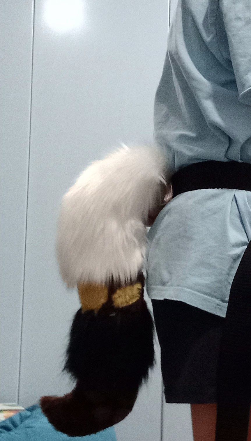 Ogon tail fursuit furry PRZECZYTAJ OPIS!! (+gratisy)