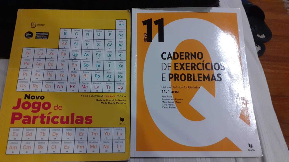 Manual e caderno de atividades Química 11´º ano Texto