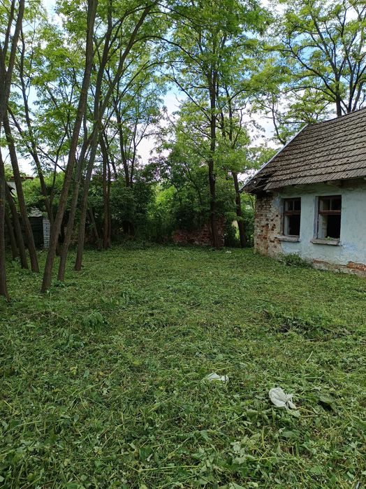 Sprzedam działka Wełnin 44ary