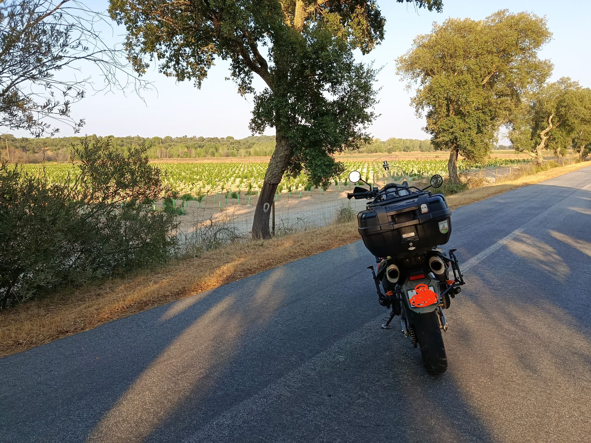 Aprilia caponord etv 1000
