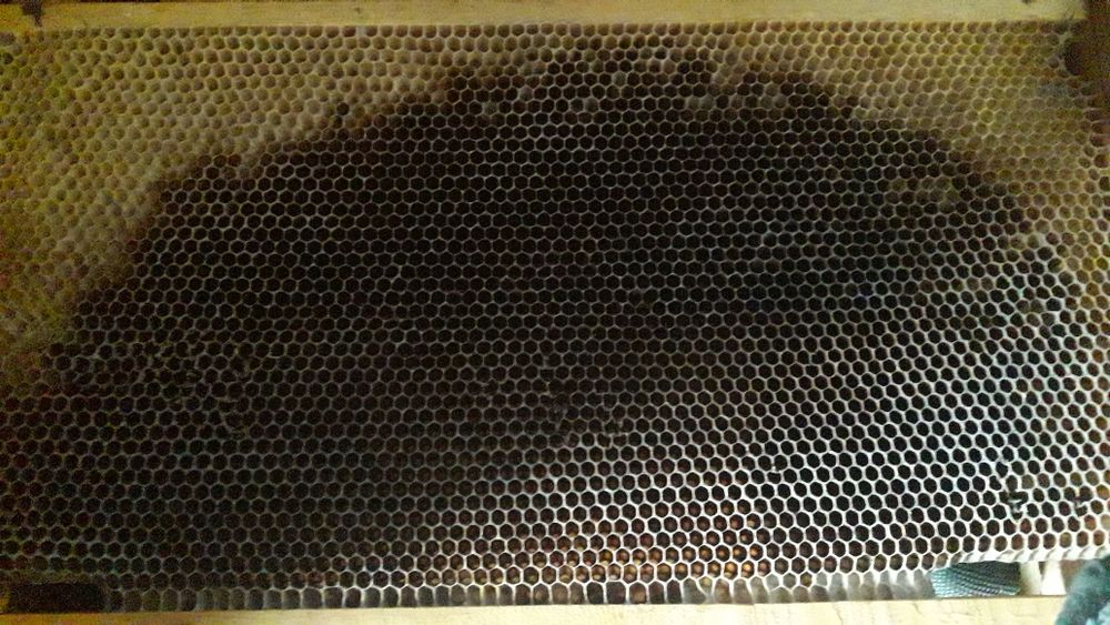 Рамки 230 Продам