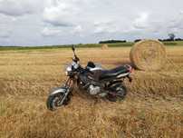 Motorynka keen motor 50 honda Monkey mini cros