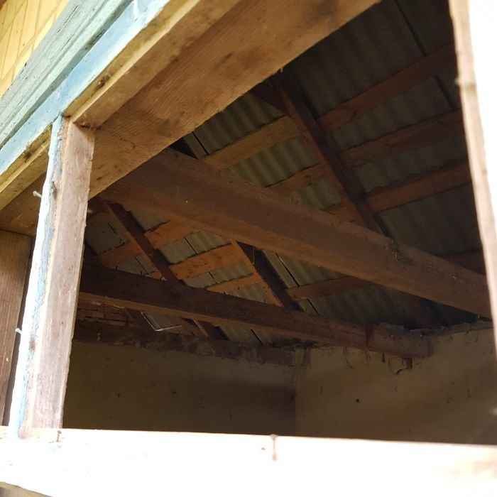 Будівля столової та сарай з погрібом село Паволоч