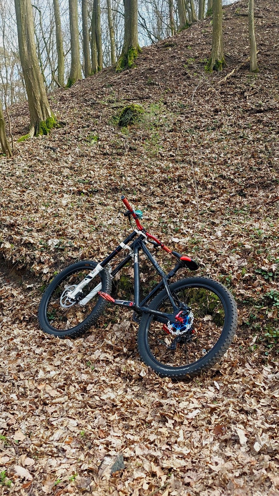 ns bitch 2005 na części lub w całości(zee deore rock shox)