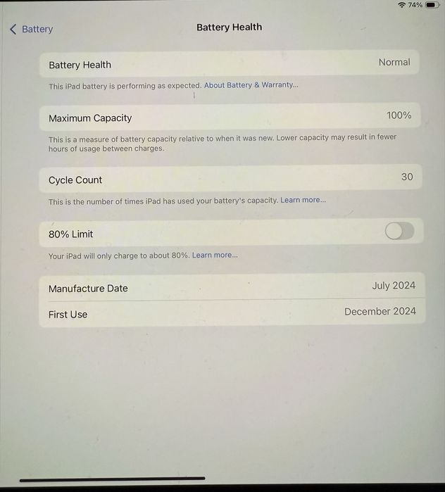 iPad Pro M4 512 Gbs como novo