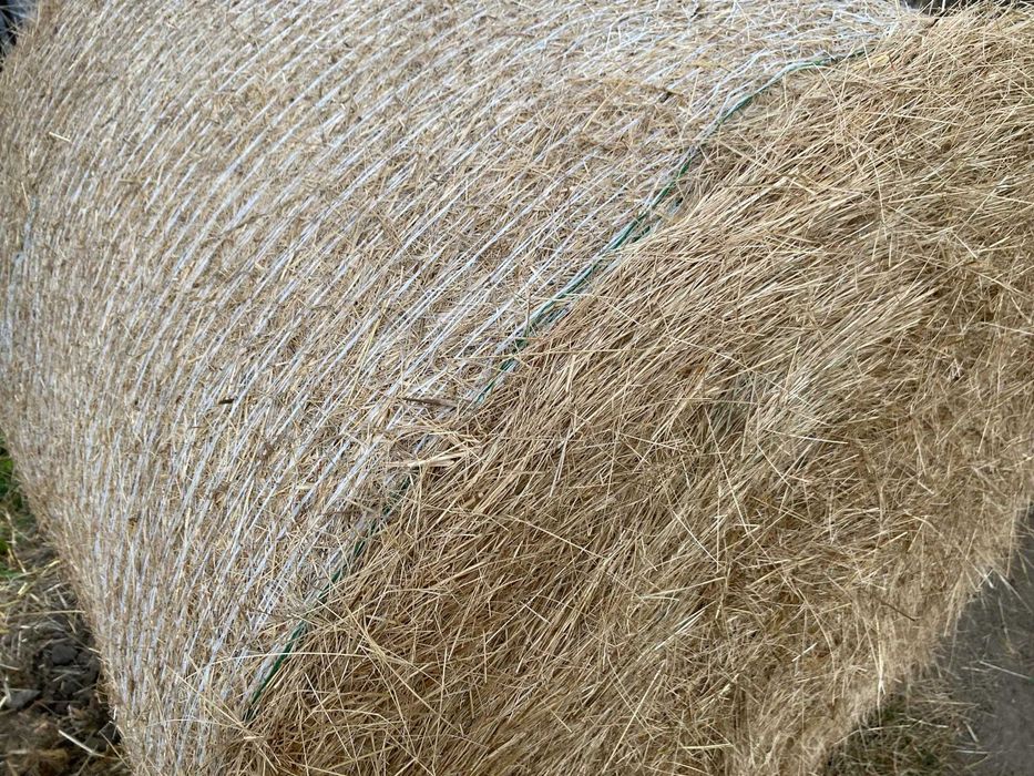 130zł   sianokiszonka    130-stki z traw sianych z załadunkiem