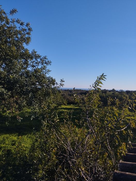 Terreno Misto,  com Ruína, Vista Mar.