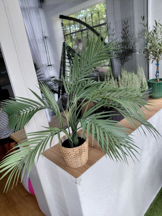 Ikea fejka sztuczna roslina