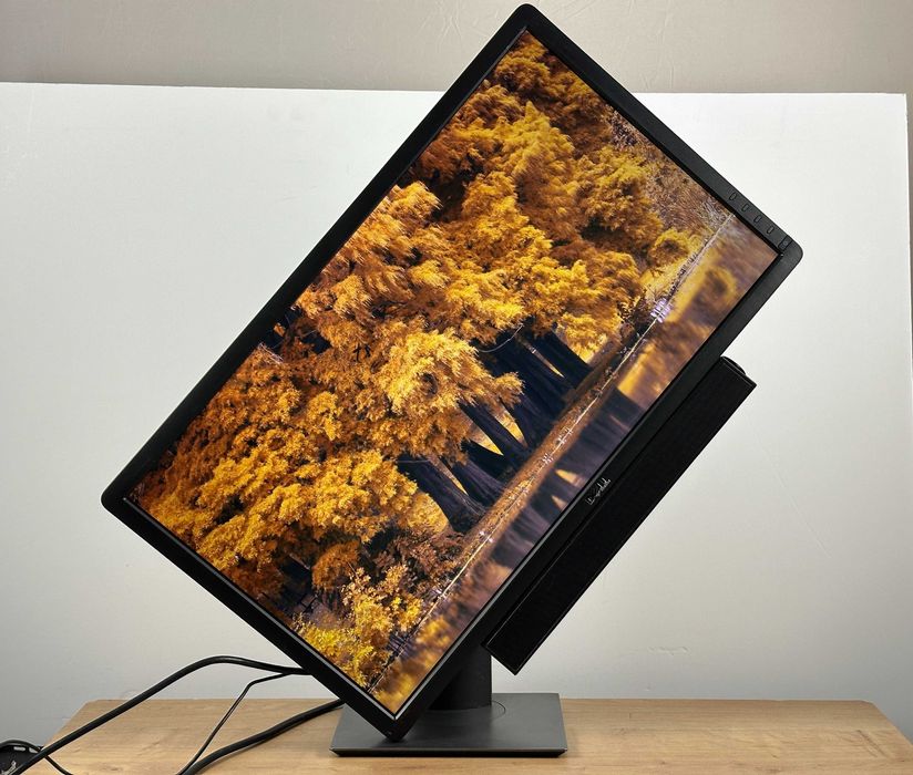 Idealny do biura Monitor Dell P2412H 24” LED Full HD