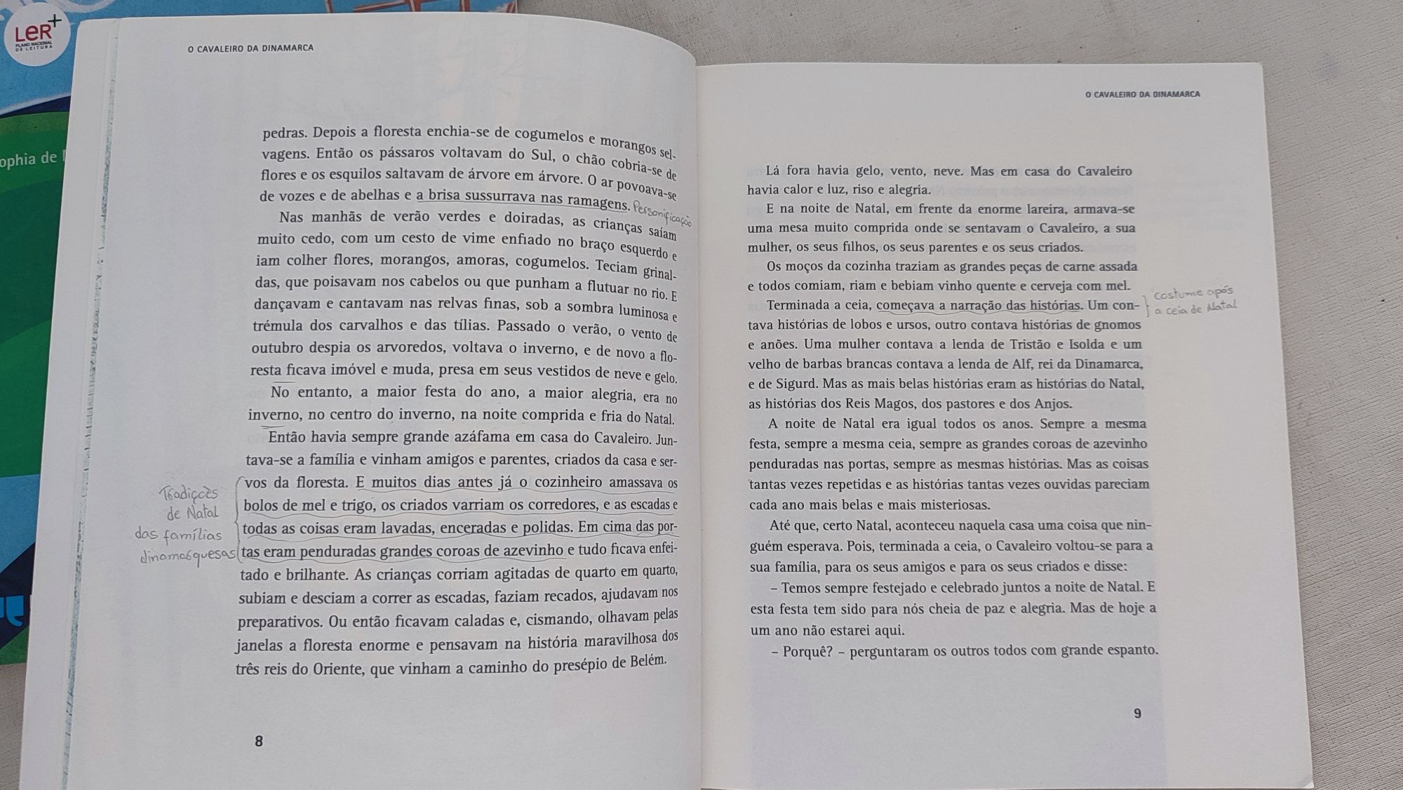 O cavaleiro da Dinamarca