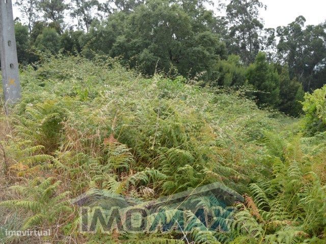 Terreno Construção - Bustelo - Penafiel