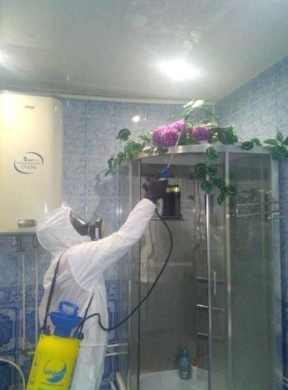 Профессиональное уничтожение насекомых и грызунов