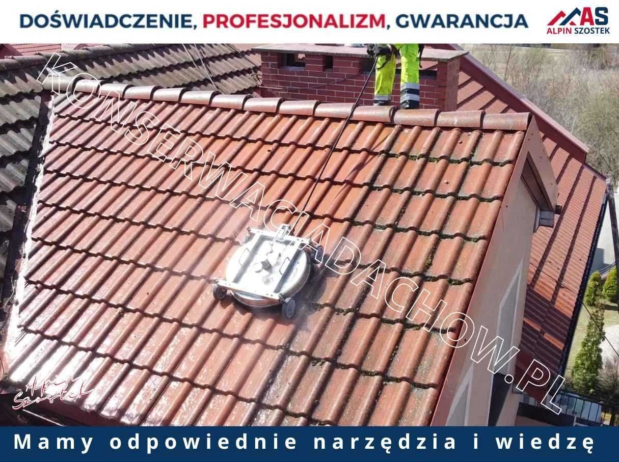 Malowanie dachówki Betonowej - alpinszostek.pl - NOWOCOAT