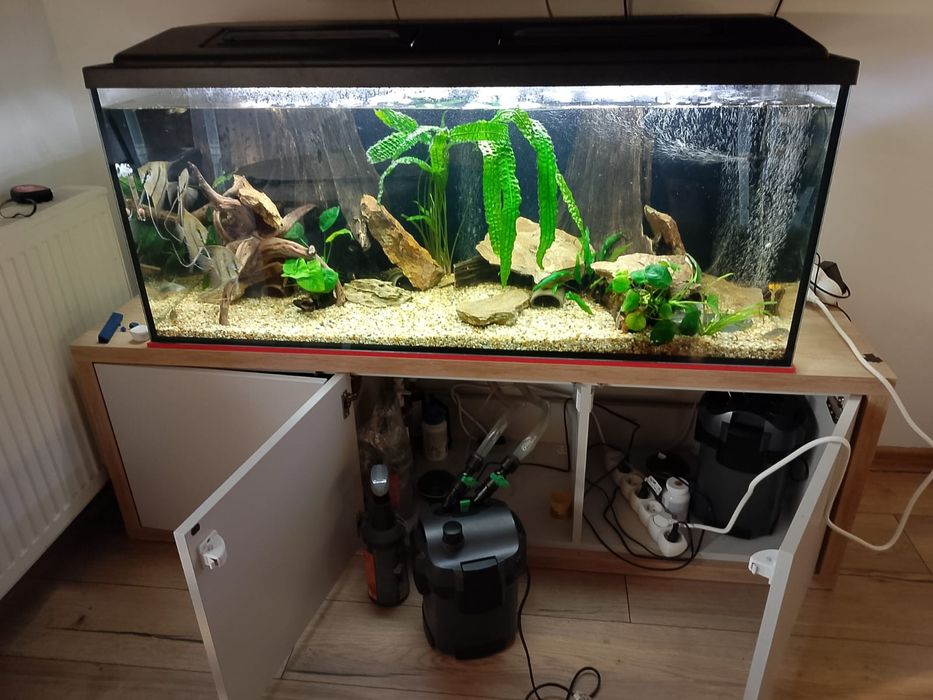 Fiktr kubełkowy Tetra