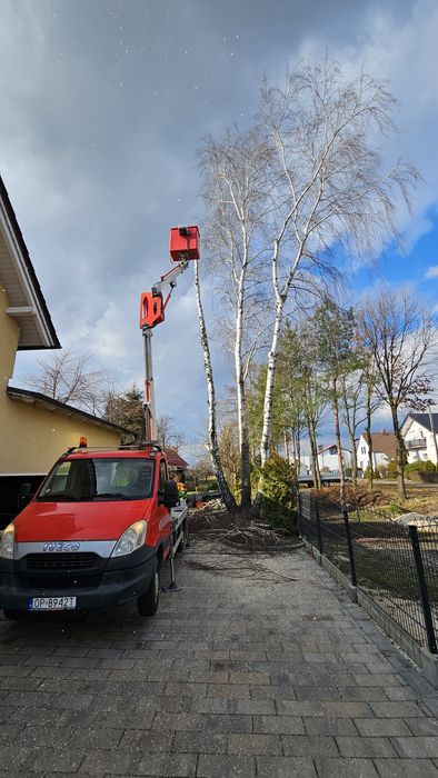 Alpinistyczna wycinka drzew, usługi rębakiem
