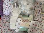Manta e almofada peluche
