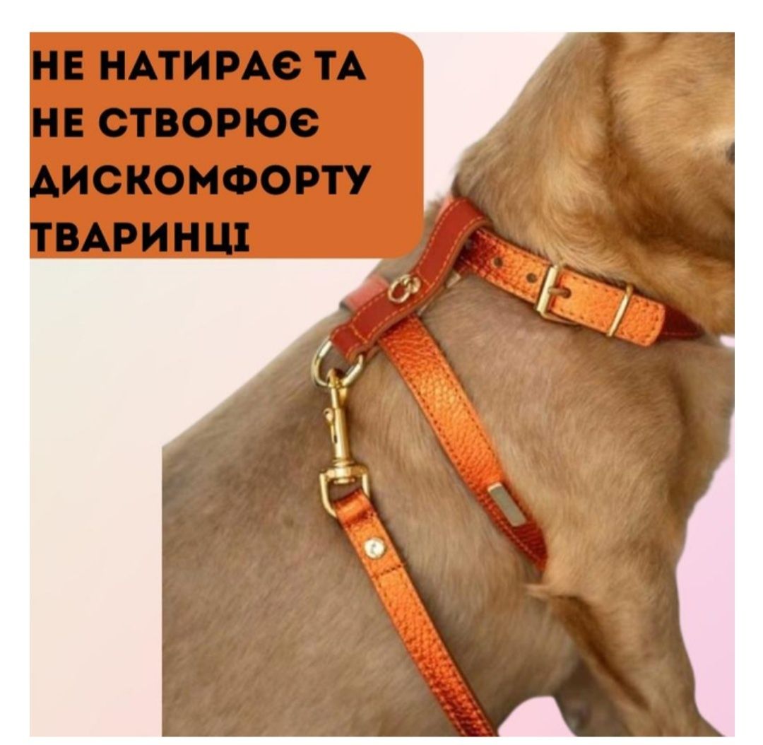 Шлея с поводком регулируемая для собак и кошек кожаная анатомическая