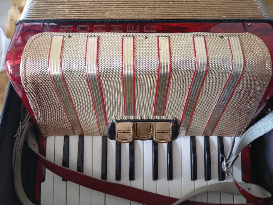 acordeao hohner student V 48 baixos