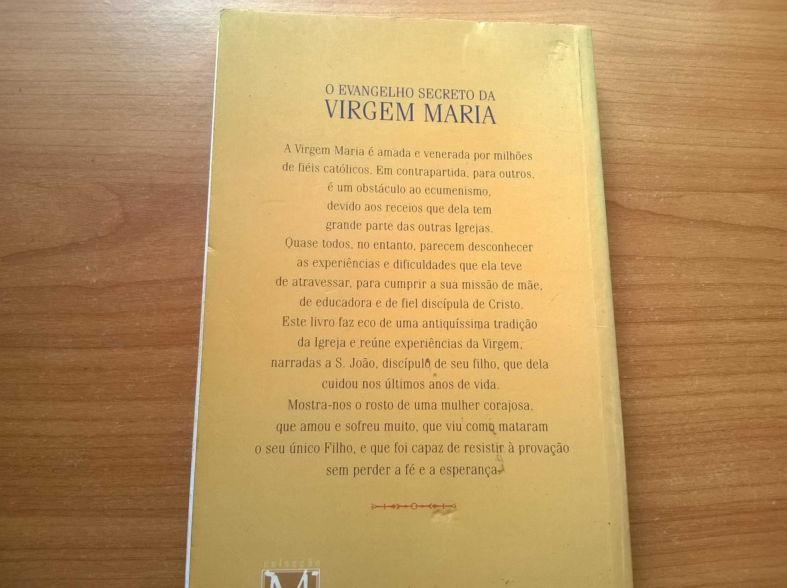 O Evangelho Secreto da Virgem Maria - Santiago Martín