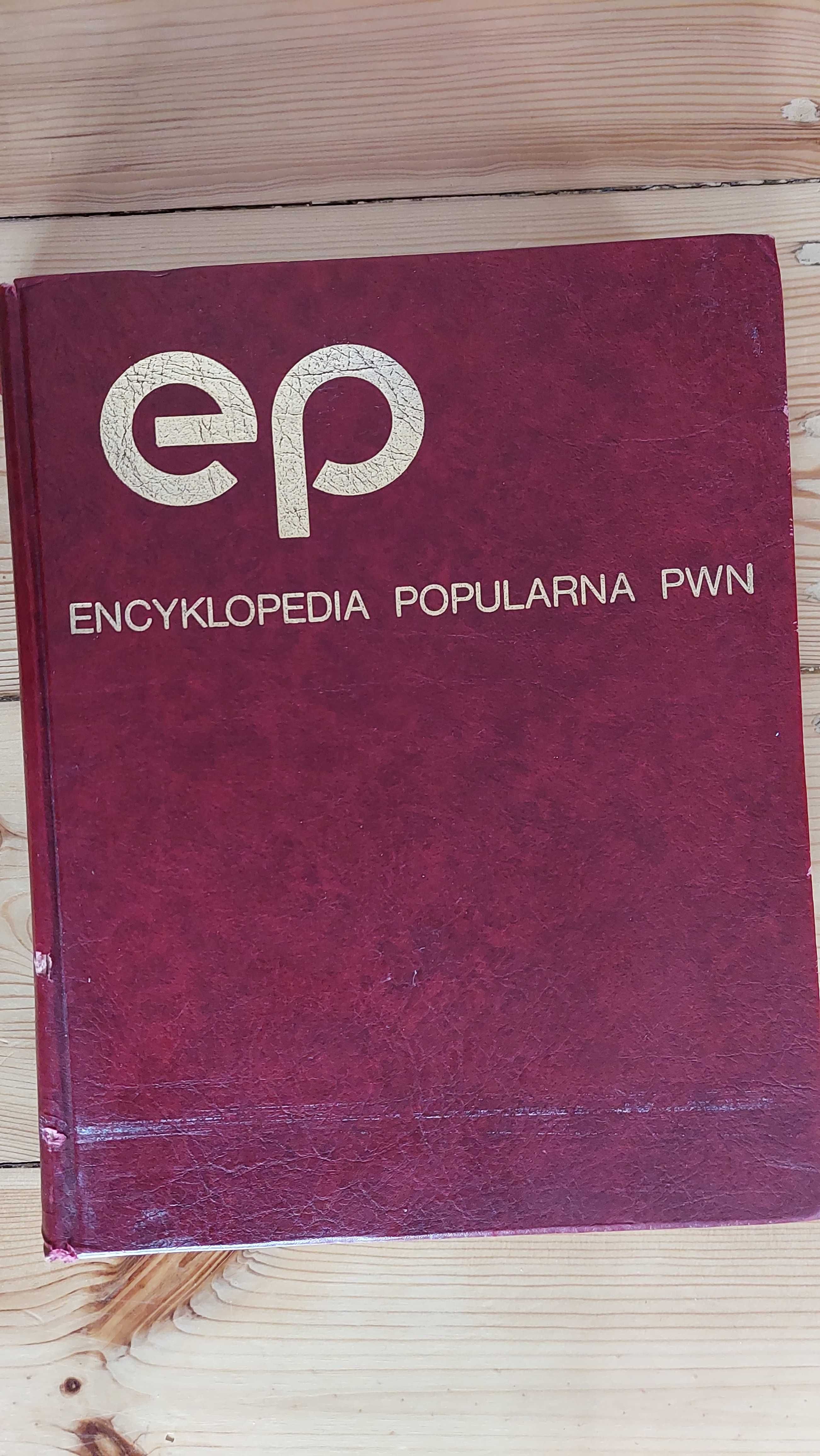Encyklopedia  popularna PWN