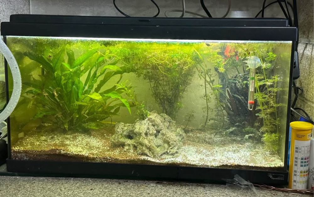 Aquario com tampa e luz