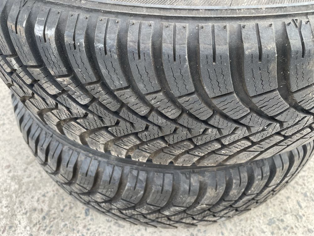 Покришки FalKen Eurowinter HS01, Bridgestone Blizzak LM005 185/65 R15