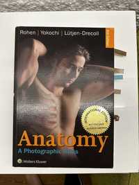 Yokochi Atlas anatomiczny Color Atlas of Anatomy International Edition