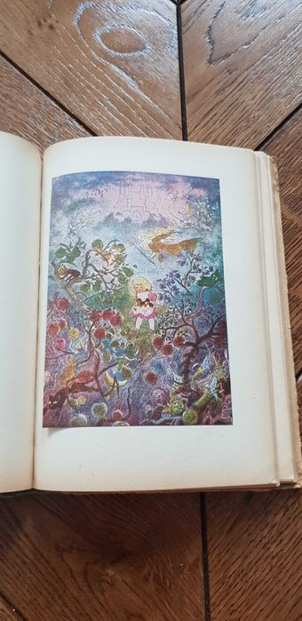 Książka rok 1950 "Dzieci Pana Majstra" Zofia Rogoszówna