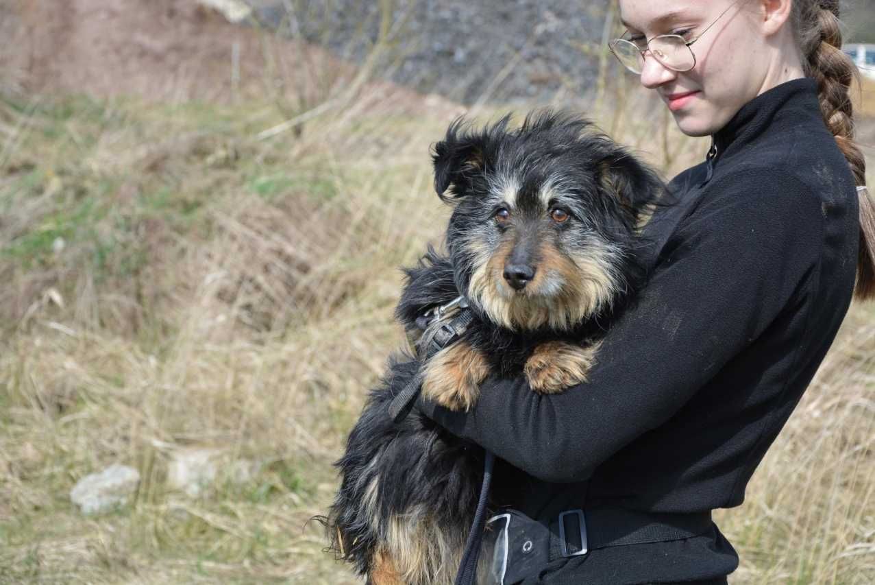 Chałka - kosmata ślicznotka do pokochania!